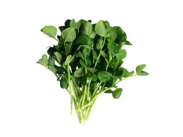 Pea Shoots Microgreens